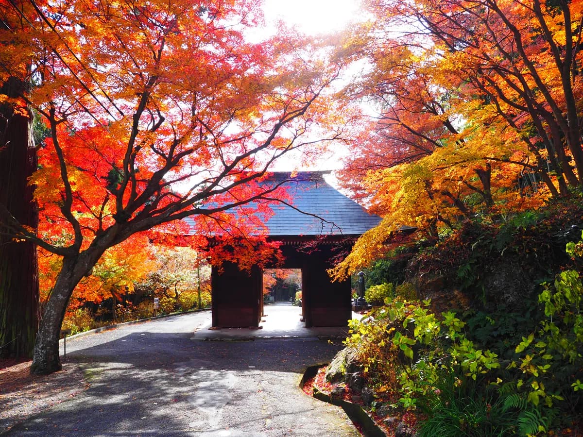 普門寺